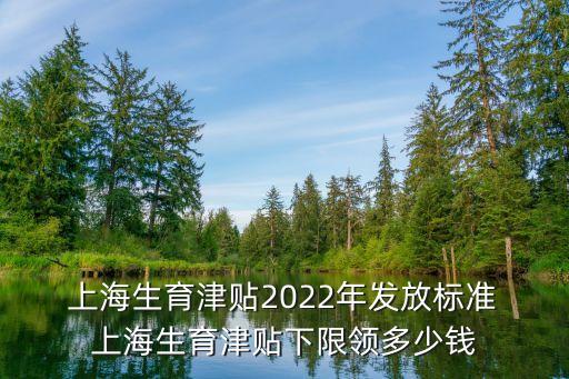  上海生育津貼2022年發(fā)放標(biāo)準(zhǔn) 上海生育津貼下限領(lǐng)多少錢(qián)