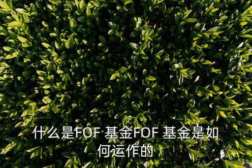 什么是FOF 基金FOF 基金是如何運作的