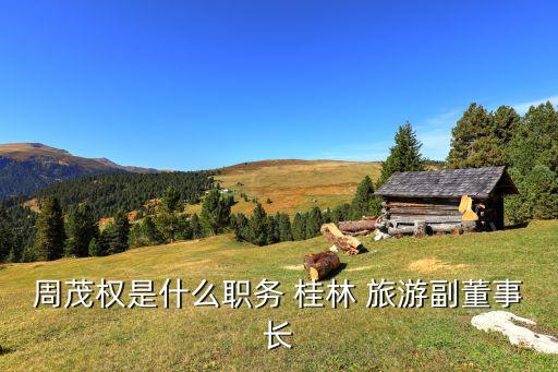 周茂權(quán)是什么職務 桂林 旅游副董事長