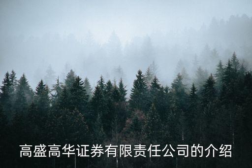 高盛高華證券有限責(zé)任公司的介紹