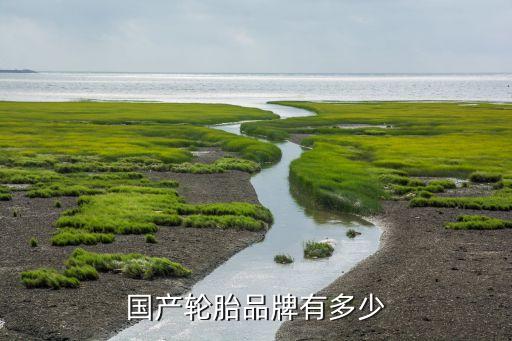 上海雙錢集團有限公司,雙錢集團(江蘇)輪胎有限公司招聘信息