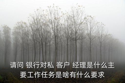 請問 銀行對私 客戶 經(jīng)理是什么主要工作任務是啥有什么要求