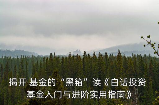 揭開 基金的“黑箱”讀《白話投資 基金入門與進(jìn)階實(shí)用指南》