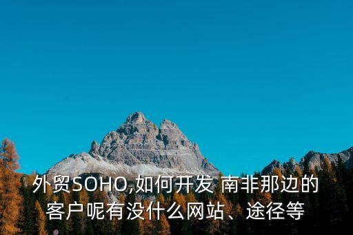 外貿(mào)SOHO,如何開發(fā) 南非那邊的客戶呢有沒(méi)什么網(wǎng)站、途徑等