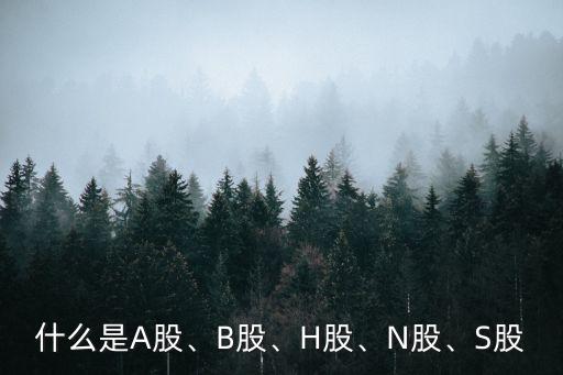 什么是A股、B股、H股、N股、S股