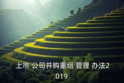  上市 公司并購(gòu)重組 管理 辦法2019