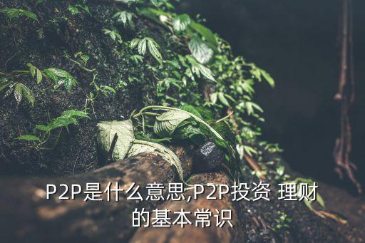 P2P是什么意思,P2P投資 理財?shù)幕境ＷR