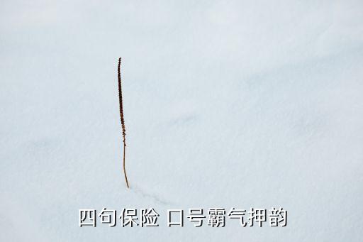 四句保險(xiǎn) 口號(hào)霸氣押韻