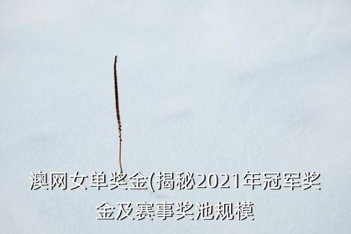 澳網(wǎng)女單獎(jiǎng)金(揭秘2021年冠軍獎(jiǎng)金及賽事獎(jiǎng)池規(guī)模