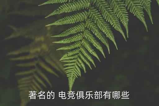 著名的 電競俱樂部有哪些