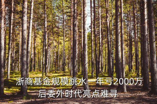  浙商基金規(guī)模跳水一年虧2000萬后委外時代亮點(diǎn)難尋