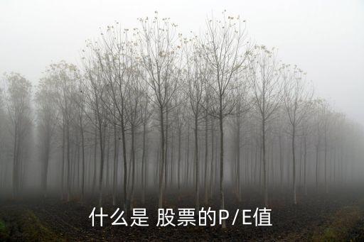 什么是 股票的P/E值