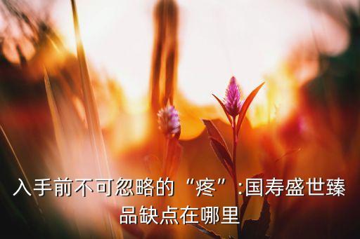 入手前不可忽略的“疼”:國壽盛世臻品缺點(diǎn)在哪里