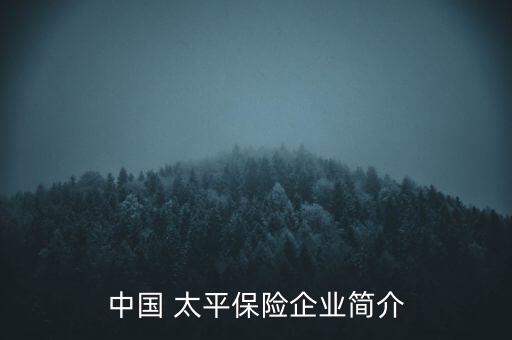 中國 太平保險(xiǎn)企業(yè)簡介