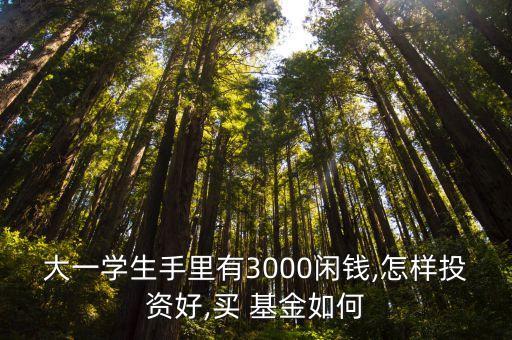 大一學生手里有3000閑錢,怎樣投資好,買 基金如何