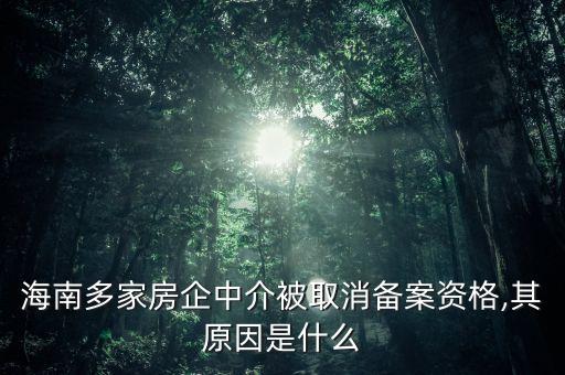 海南多家房企中介被取消備案資格,其原因是什么