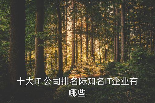 十大IT 公司排名際知名IT企業(yè)有哪些