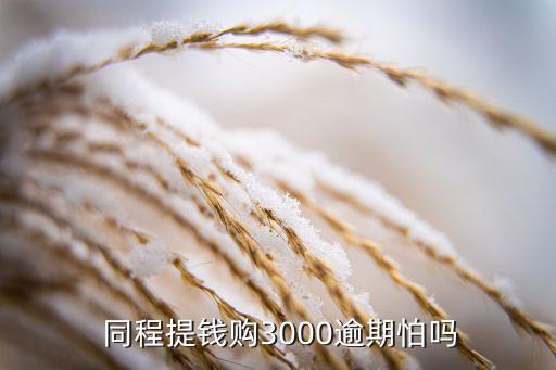  同程提錢(qián)購(gòu)3000逾期怕嗎