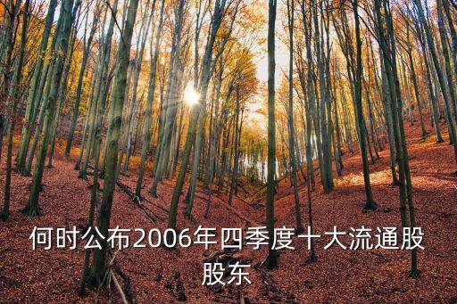 何時(shí)公布2006年四季度十大流通股股東