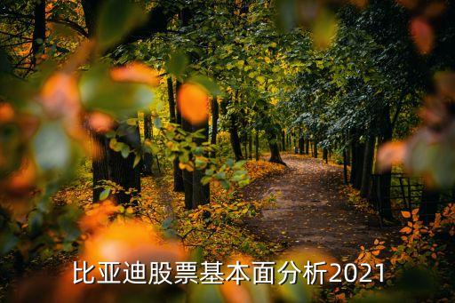 比亞迪股票基本面分析2021