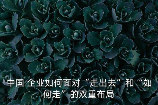 中國 企業(yè)如何面對“走出去”和“如何走”的雙重布局