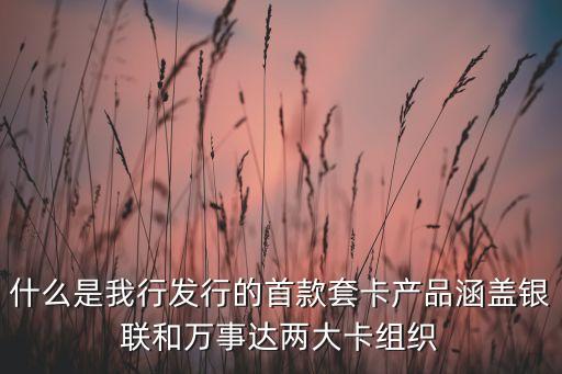 中國郵儲(chǔ)銀行推出了刷信用卡