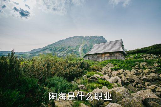 上海正坤科技發(fā)展有限公司,瞰景科技發(fā)展(上海)有限公司