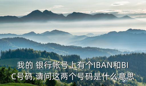 我的 銀行帳號上有個IBAN和BIC號碼,請問這兩個號碼是什么意思