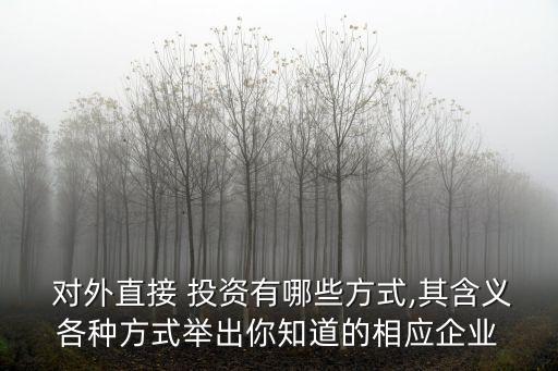  對外直接 投資有哪些方式,其含義各種方式舉出你知道的相應企業(yè)