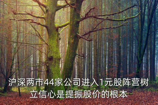 滬深兩市44家公司進入1元股陣營樹立信心是提振股價的根本