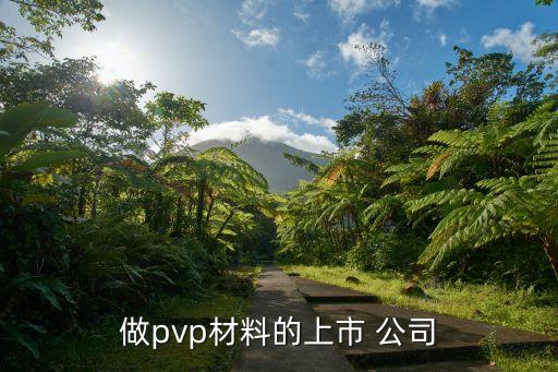 做pvp材料的上市 公司