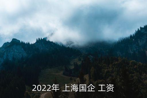 2022年 上海國(guó)企 工資