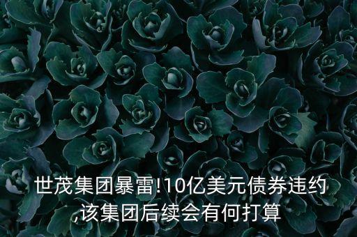  世茂集團暴雷!10億美元債券違約,該集團后續(xù)會有何打算