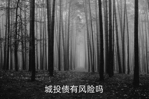 城投債有風(fēng)險嗎