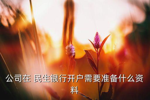 民生銀行對(duì)公賬戶預(yù)約