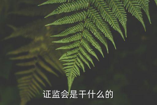 證監(jiān)會是干什么的