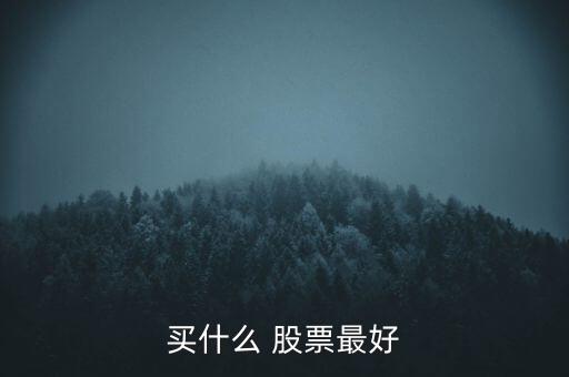 買(mǎi)什么 股票最好