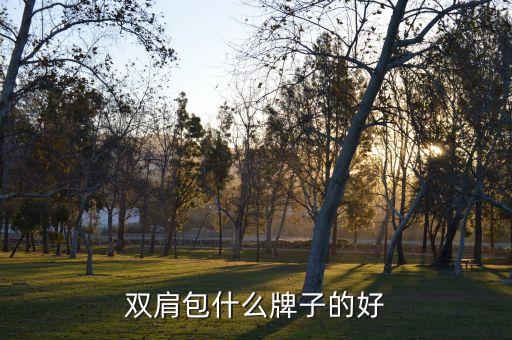 雙肩包什么牌子的好