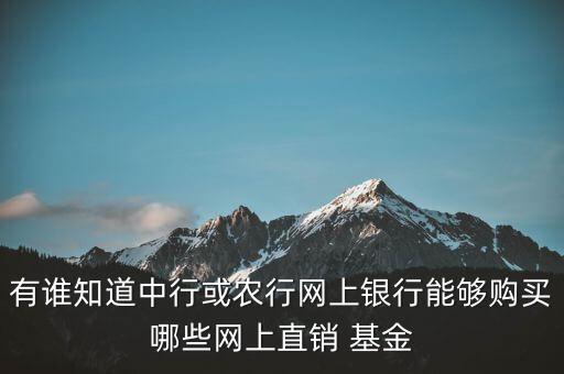 有誰知道中行或農(nóng)行網(wǎng)上銀行能夠購買哪些網(wǎng)上直銷 基金