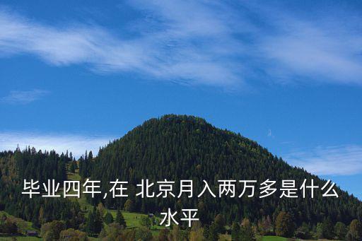 畢業(yè)四年,在 北京月入兩萬多是什么水平