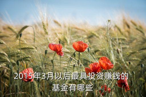 2015年3月以后最具投資賺錢的 基金有哪些