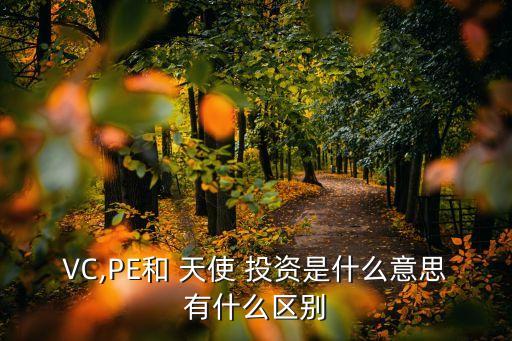 VC,PE和 天使 投資是什么意思有什么區(qū)別