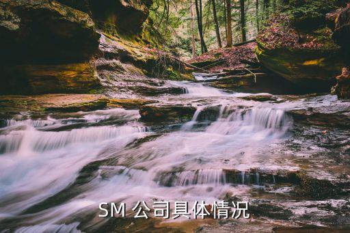 sm公司股票價(jià)格,怎么買sm公司的股票