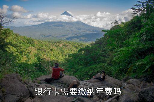  銀行卡需要繳納年費嗎