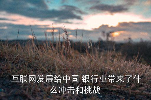  互聯(lián)網(wǎng)發(fā)展給中國 銀行業(yè)帶來了什么沖擊和挑戰(zhàn)