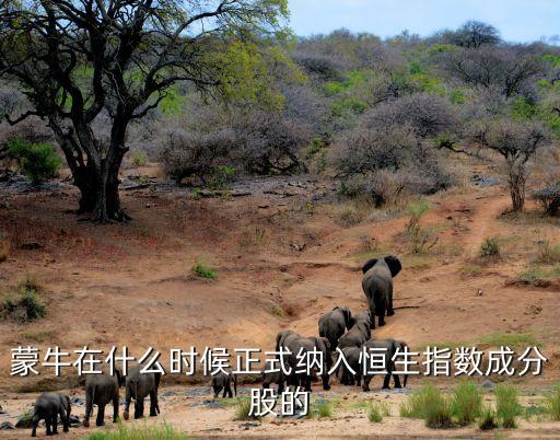 蒙牛在什么時候正式納入恒生指數(shù)成分股的