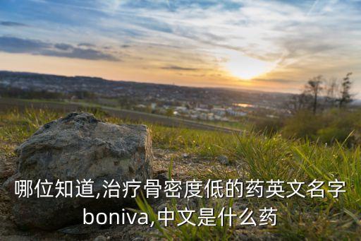 哪位知道,治療骨密度低的藥英文名字boniva,中文是什么藥