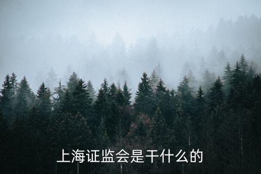 上海證監(jiān)會是干什么的