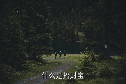 什么是招財寶