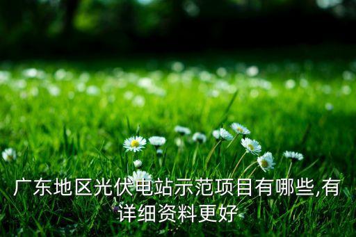 廣東地區(qū)光伏電站示范項目有哪些,有詳細(xì)資料更好